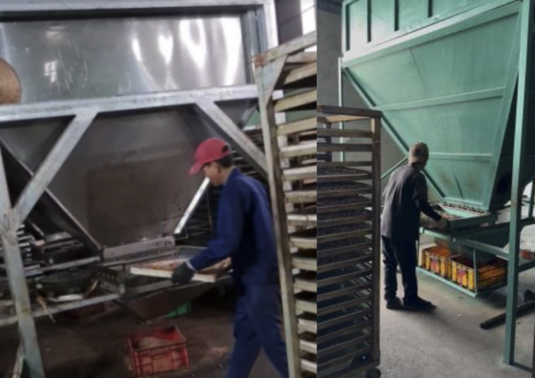 HỆ THỐNG VÔ KHAY SẤY - Ảnh 2