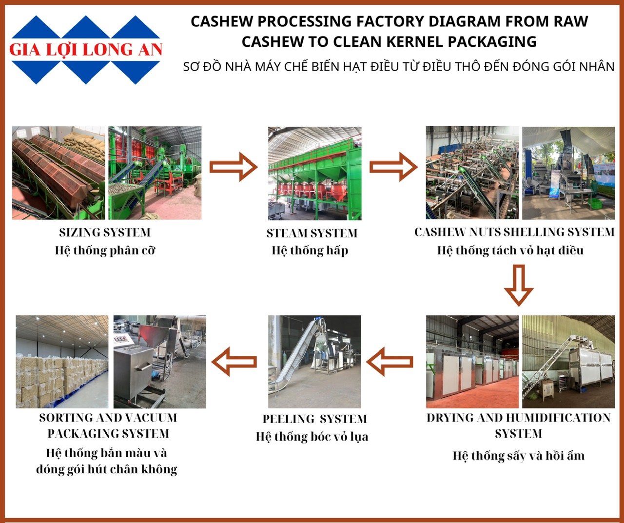 Sơ đồ nhà máy chế biến hạt điều