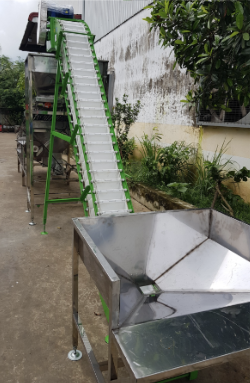 Băng tải lựa nhân