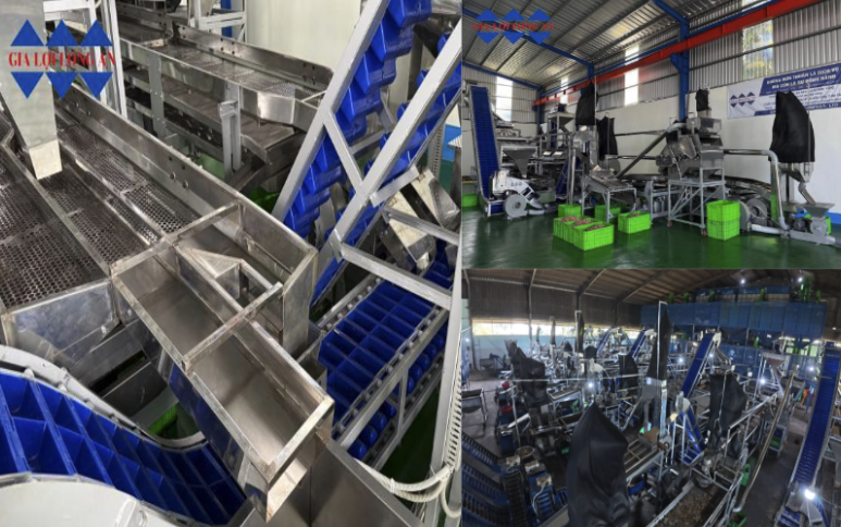 HỆ THỐNG ĐẦU CẮT - 5 SÀN TÁCH + 1 ĐẦU CẮT LẠI