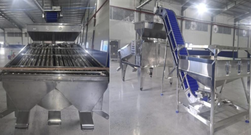 MÁY PHÂN CỠ NHÂN ĐIỀU BẰNG ỐNG LĂN (Phân loại: W240, W320, W450 và nhân chẻ)