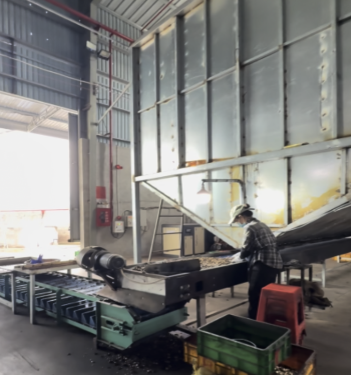 HỆ THỐNG TÁCH VỎ